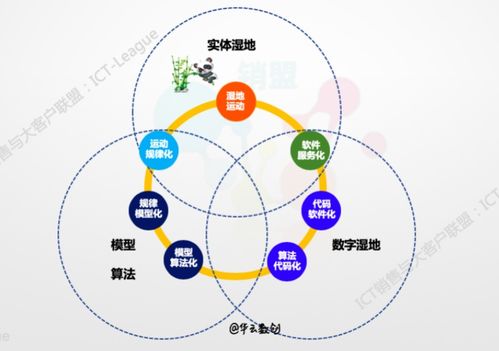 企业的数字化转型 数据、算法、互联网服务与工业互联网数据服务的核心探讨