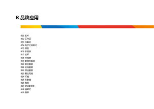 旗舰共联 VI品牌标志赋能企业产品商标与互联网数据服务